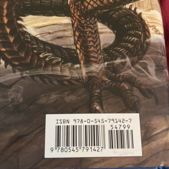 J. K. Rowling, Harry Potter, and the goblet of fire illustrated by Jim K year 4 - Picture 5 of 8